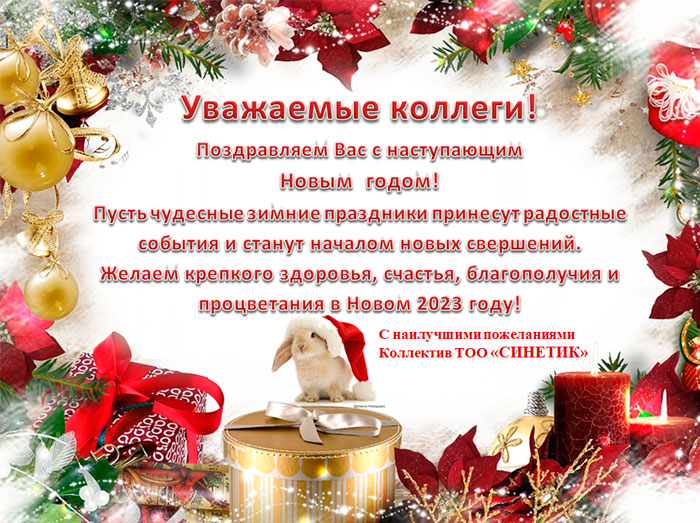 С Новым 2023 годом!